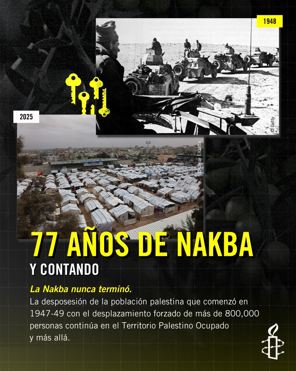 amnistiamexico's tweet photo. 🇵🇸 | Durante 77 años, Israel ha negado a palestinos el derecho a regresar a sus hogares, violando el derecho internacional y las resoluciones de la ONU. Hoy la #Nakba continúa. El despojo, el desplazamiento y el apartheid siguen definiendo la vida de la población palestina. https://t.co/98yL8a8hrw