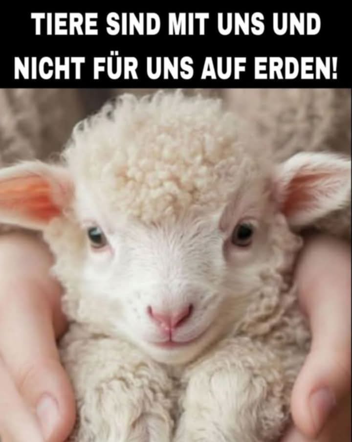 Gem_f_d_Tiere's tweet photo. TREFFENDE WORTE!!! https://t.co/HjGXfyAXN0