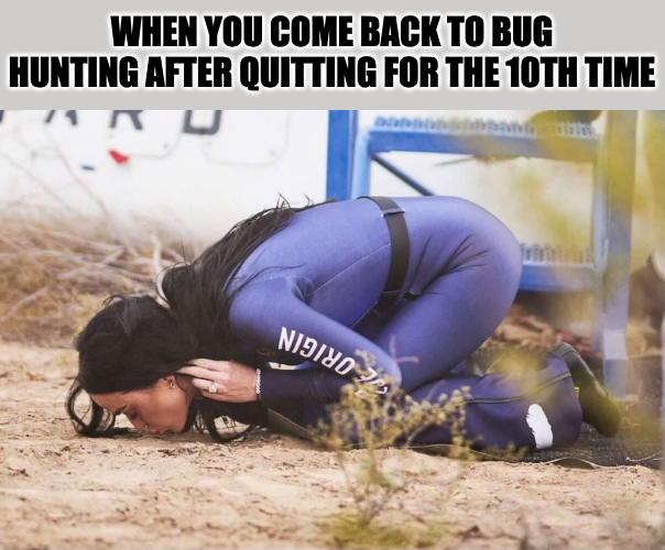 HackenProof (@hackenproof) on Twitter photo 