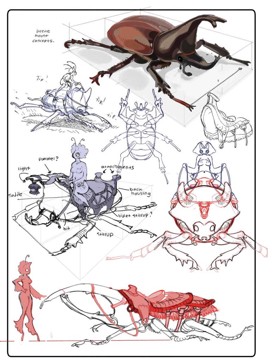 dialingnumber9's tweet image. Pixie bug mounts