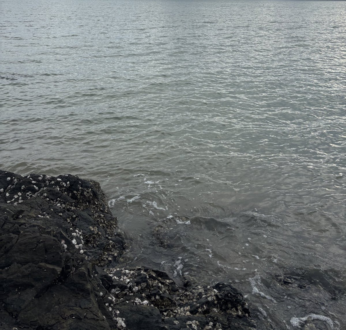 T (@chxrt4m) on Twitter photo 