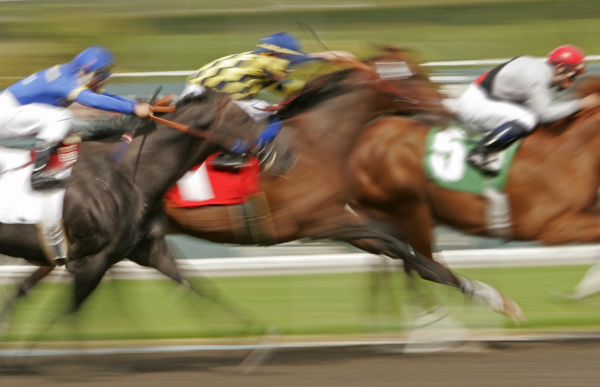 Sports Destinations (@sdm_overtime) on Twitter photo #Sovereignty will sit out the <a href="/PreaknessStakes/">Preakness Stakes</a>, tripping up a #triplecrown but there are plenty of other reasons #Baltimore will see #economicimpact this weekend
ow.ly/Avae50VPazR
#sportsdestinations #sportsbusiness #sportsbiz #sportstourism #Sovereignty will sit out the <a href="/PreaknessStakes/">Preakness Stakes</a>, tripping up a #triplecrown but there are plenty of other reasons #Baltimore will see #economicimpact this weekend
ow.ly/Avae50VPazR
#sportsdestinations #sportsbusiness #sportsbiz #sportstourism