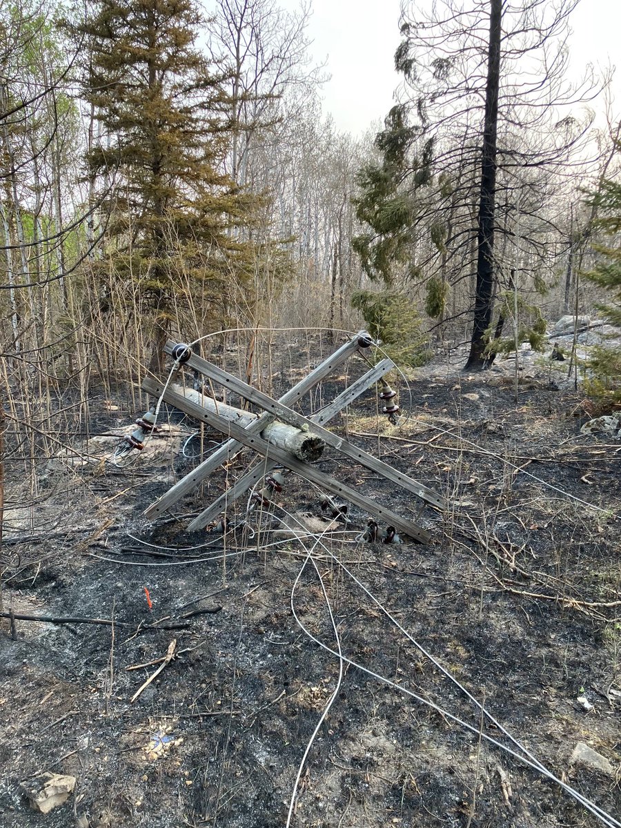 manitobahydro's tweet photo. Eastman update: last night, we restored power to about 930 customers along the Lee River. Crews are out this morning working along Wendigo Road — and we’ve got our work cut out for us. We’ll need to completely rebuild some lines. Here's a look at some of the damage. #mboutage https://t.co/n01rSJ8hF7