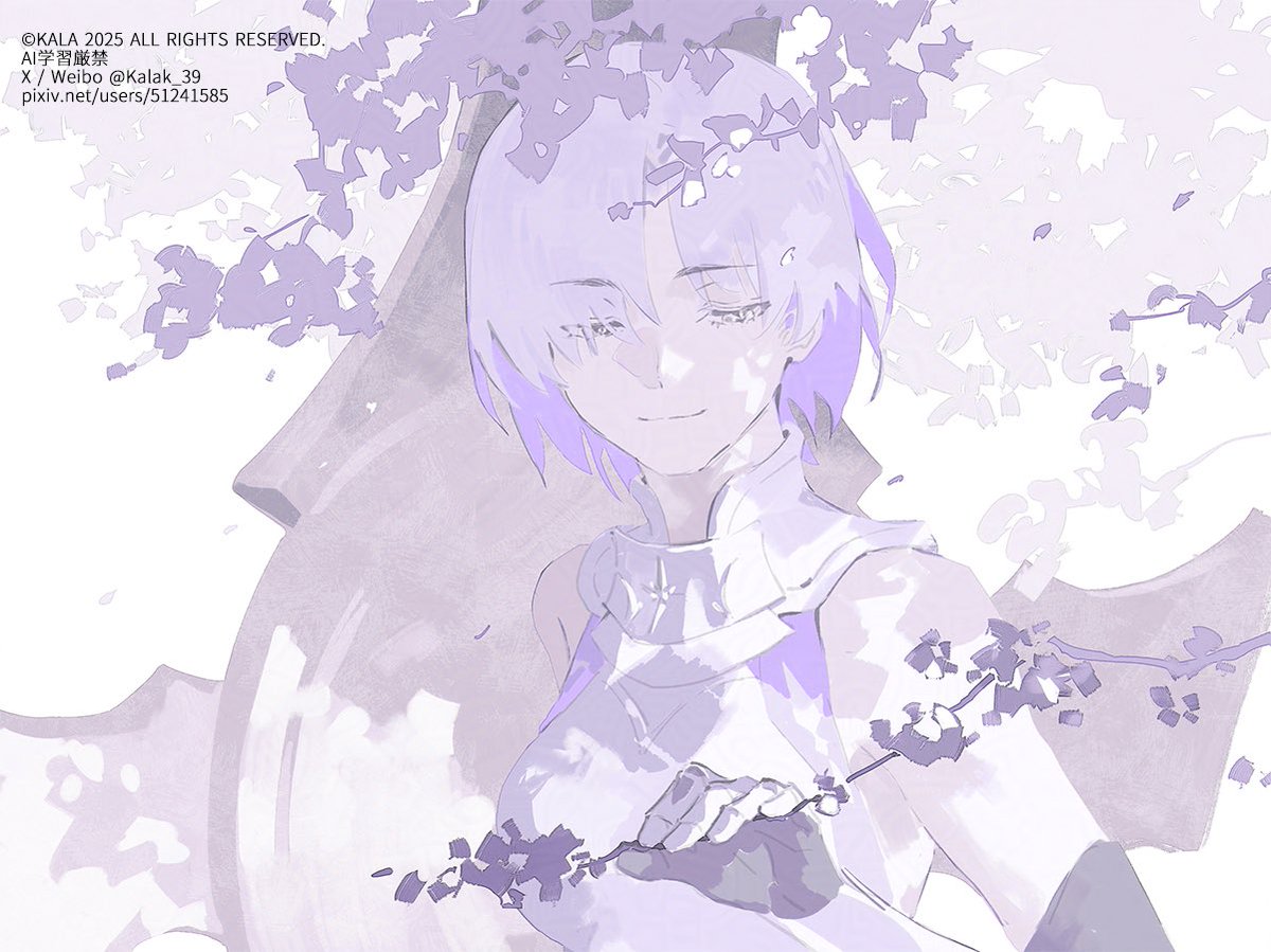 Shielder Paladin  #FGO