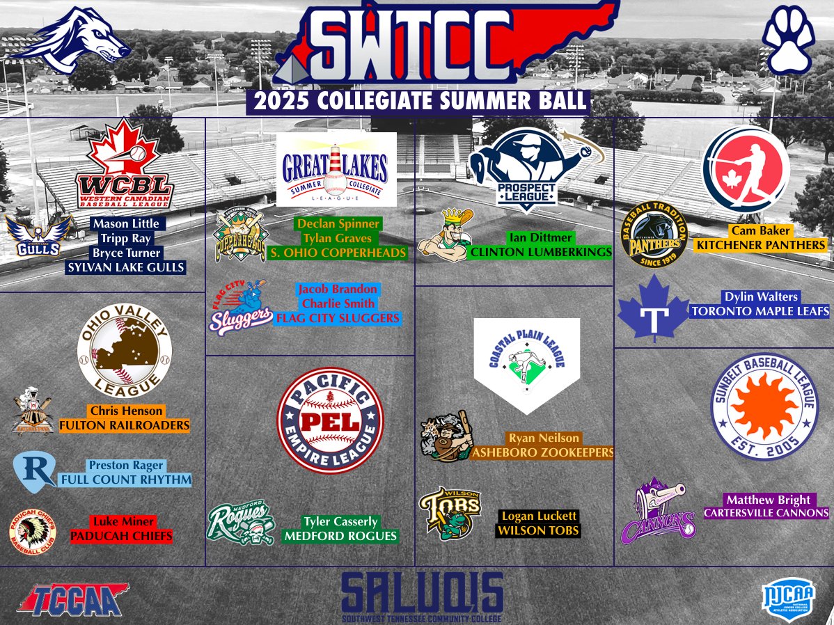 SWTenn_BSB's tweet image. Big summer ahead for these Saluqis...
We are excited to send out 17 players across 8 leagues, 7 states & 2 countries in some high quality collegiate summer leagues!
#SaluqiPride