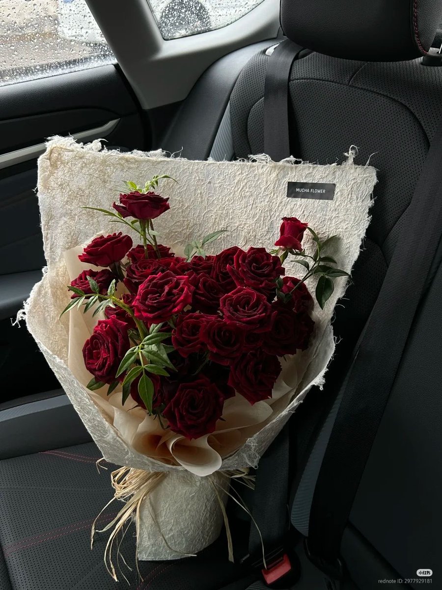 flloverland's tweet photo. https://t.co/c7YZPv19Tb