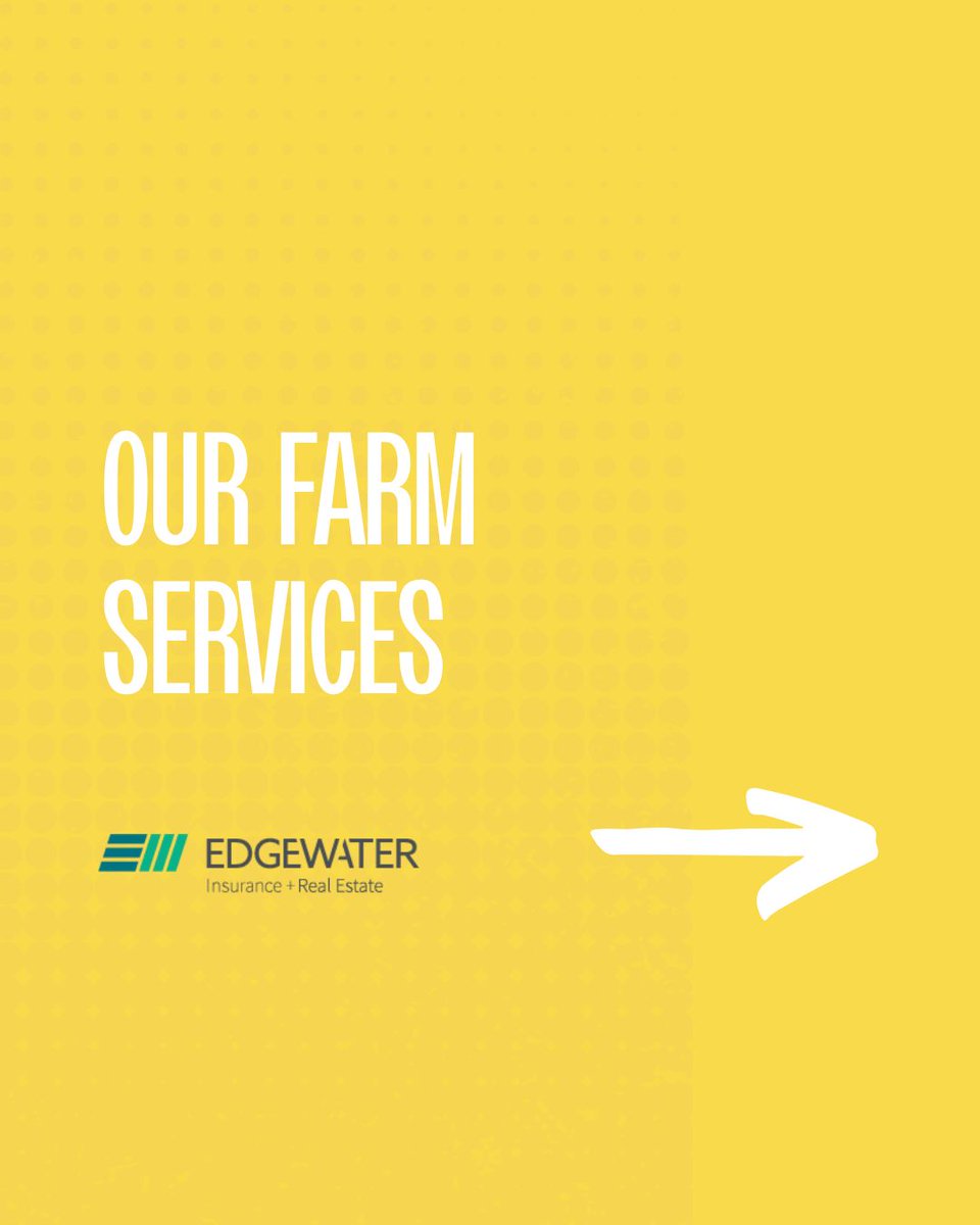 Edgewater_Blair's tweet image. Discover the unbeatable protection of our farm insurance services today and feel the reassurance of securing your agricultural investments. Reach out to learn more! 🚜

#Insurance #InsuranceTIps #NebraskaInsurance #IowaInsurance #KansasInsurance #EdgewaterInsurance #WurthMedia