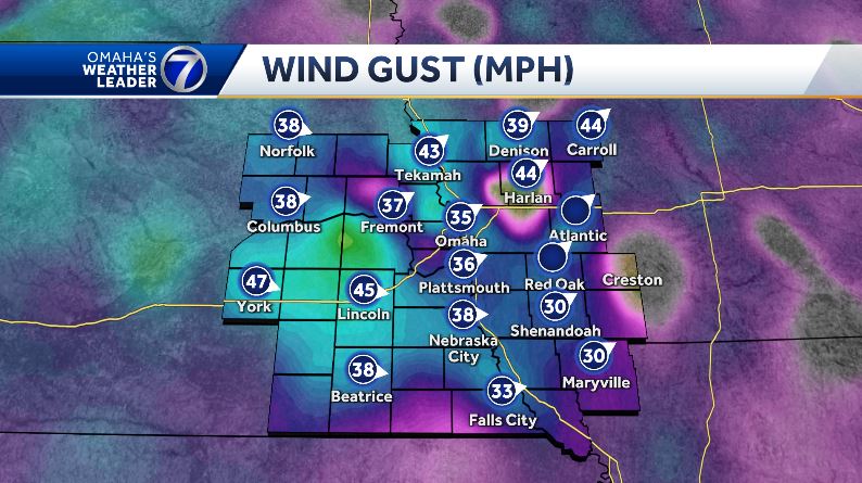 Caitlin Harvey tweet media