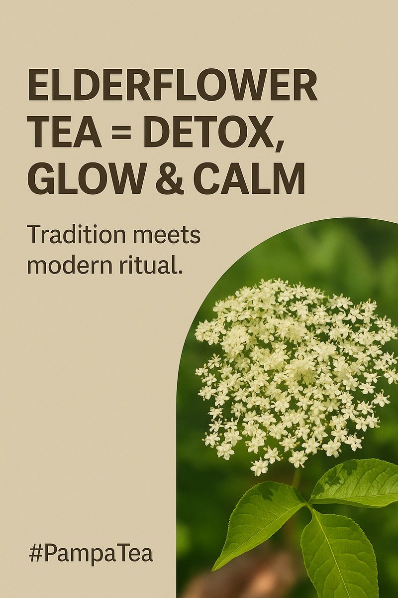 Wellness + rutine (mlada publika, internacionalno)
Šalica čaja od bazge = detoks, glow &amp; mir. Tradicija + moderna rutina. #PampaTea

Elderflower tea = detox, glow &amp; calm. Tradition meets modern ritual. #PampaTea