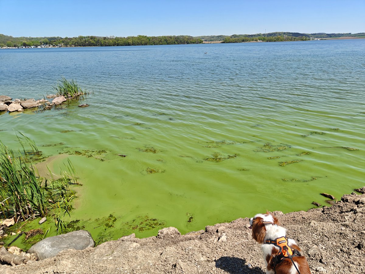 Dr. J Cooper tweet media