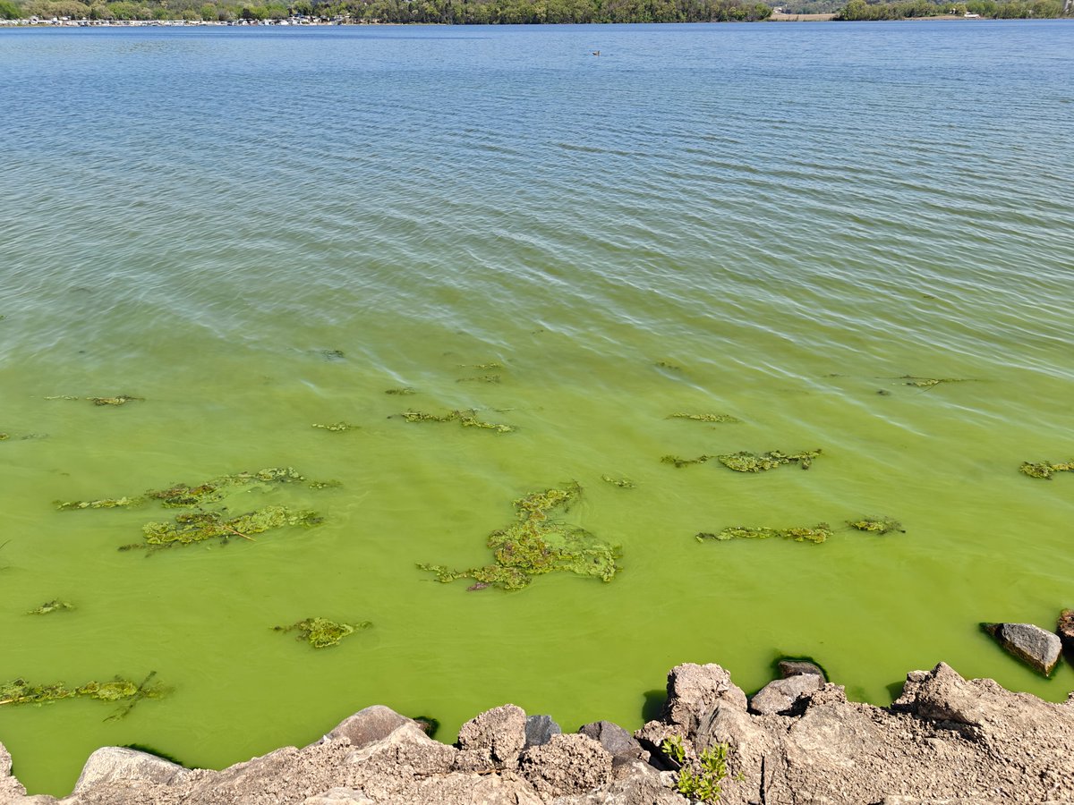 Dr. J Cooper tweet media