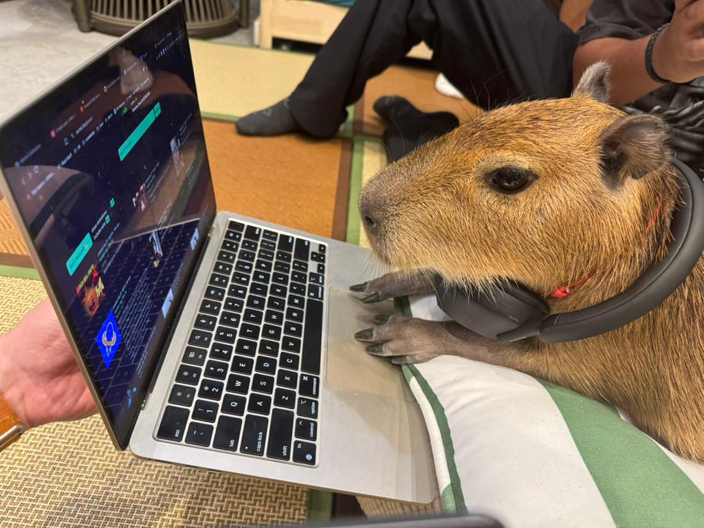 Dr. Magnus (@magnustoken) on Twitter photo CAPTION CONTEST: $100 PRIZE POOL! 🏆
Caption this genius capybara! 🧠🐾
How to Enter:
1️⃣ Post your caption with this image OR write it directly on the pic!
2️⃣ Use #MagnusContest + tag <a href="/MagnusToken/">Dr. Magnus</a>
3️⃣ Top 3 funniest/creative captions split $100!
⏰ Deadline: Thursday, 22nd at 4 CAPTION CONTEST: $100 PRIZE POOL! 🏆
Caption this genius capybara! 🧠🐾
How to Enter:
1️⃣ Post your caption with this image OR write it directly on the pic!
2️⃣ Use #MagnusContest + tag <a href="/MagnusToken/">Dr. Magnus</a>
3️⃣ Top 3 funniest/creative captions split $100!
⏰ Deadline: Thursday, 22nd at 4