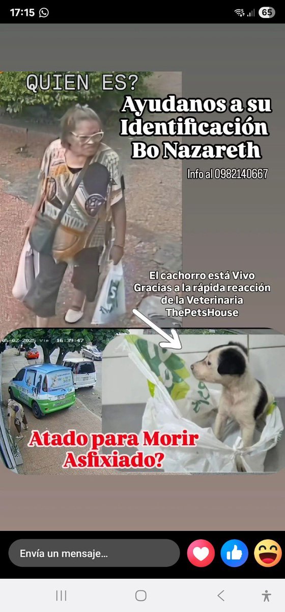 MarcoHuellasPy's tweet image. Se busca ‼️