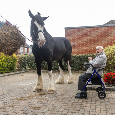 CareTalkMag's tweet image. ‘Gentle Giant’ Sparks Childhood Memories for 94-Year-Old Care Home Resident John 🐴💭- bit.ly/44G8uV8

#HeartwarmingMoments #RealLives