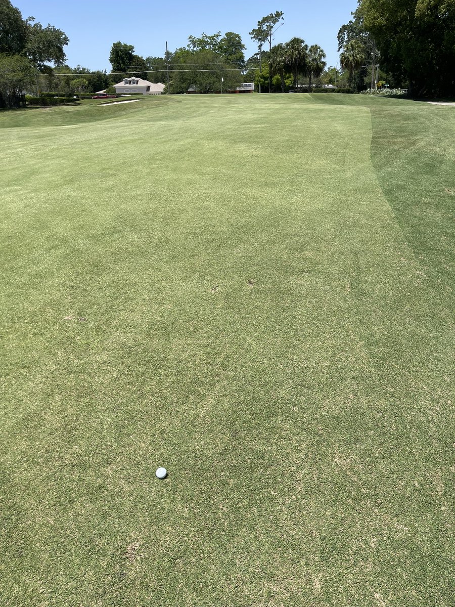 Mad Nerd Martigan tweet media