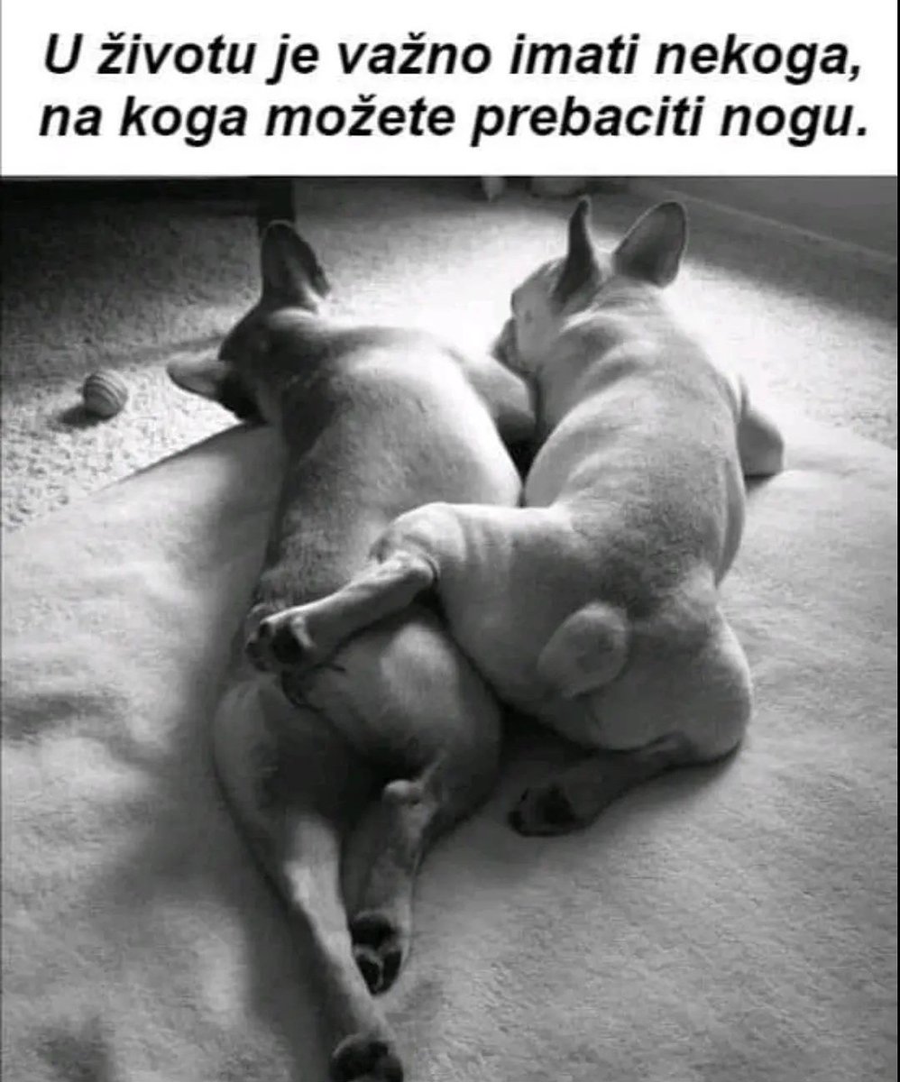 Morticia Addams (@smrtisa) on Twitter photo 