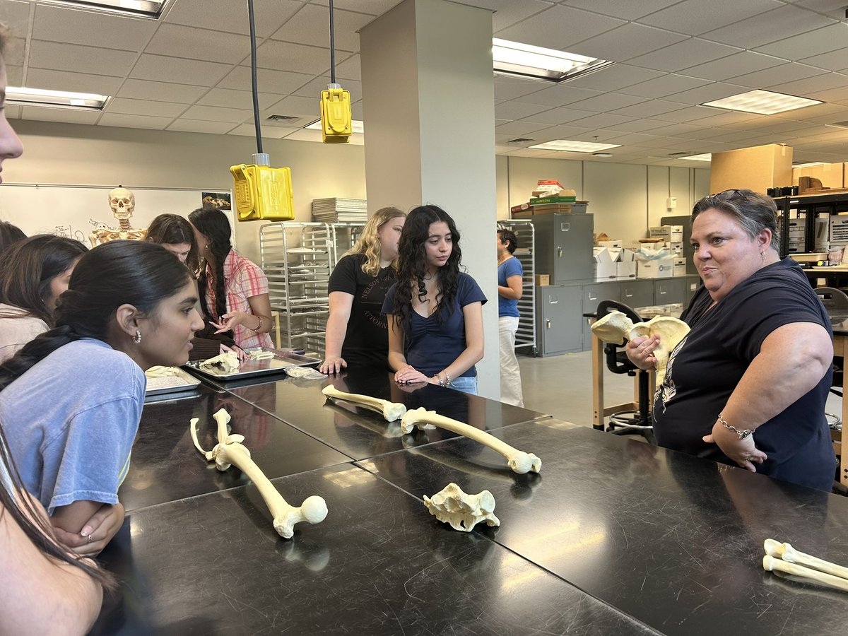 SGH_Humanities's tweet image. HA students digging up bones!