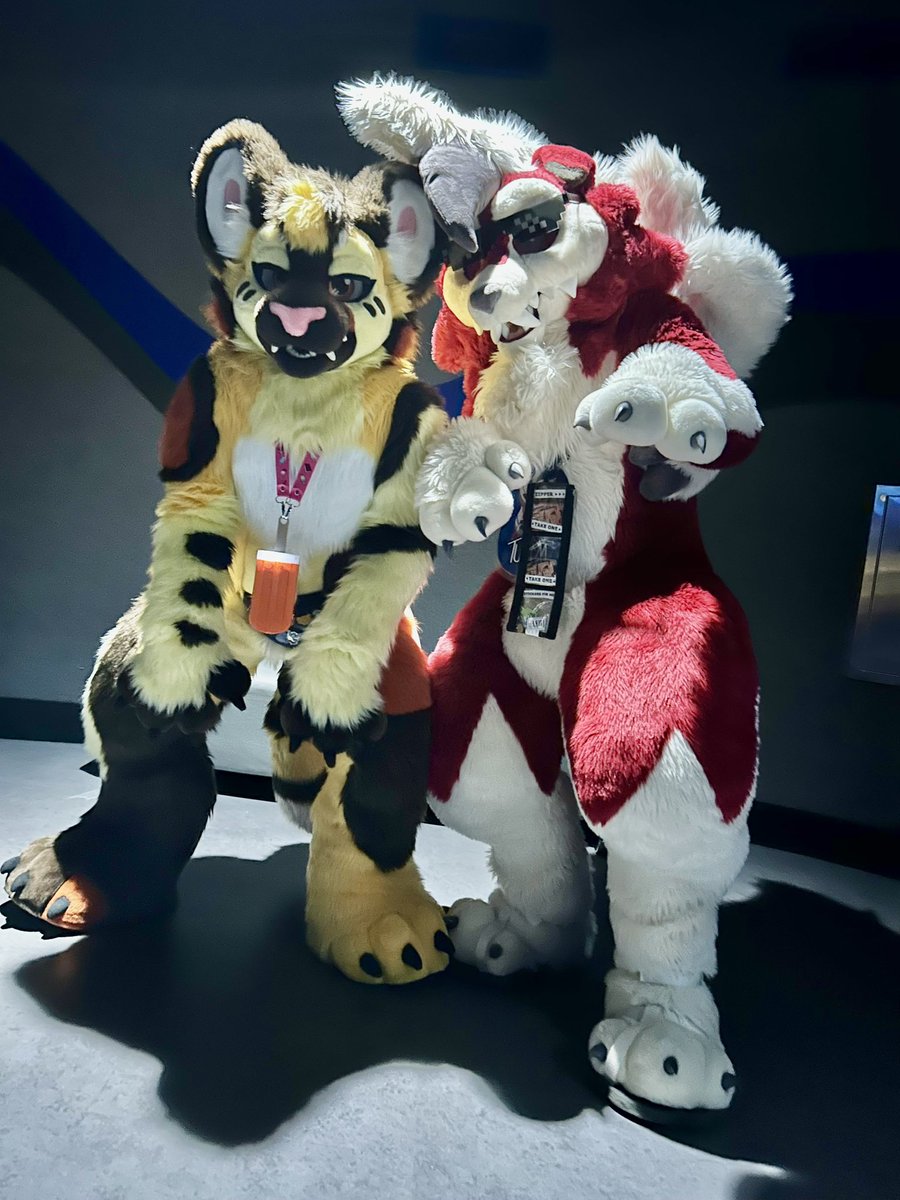 Gotta catch em all!

📸: <a href="/_zenithmoon/">Zenith 🦇🌙🐈‍⬛</a>