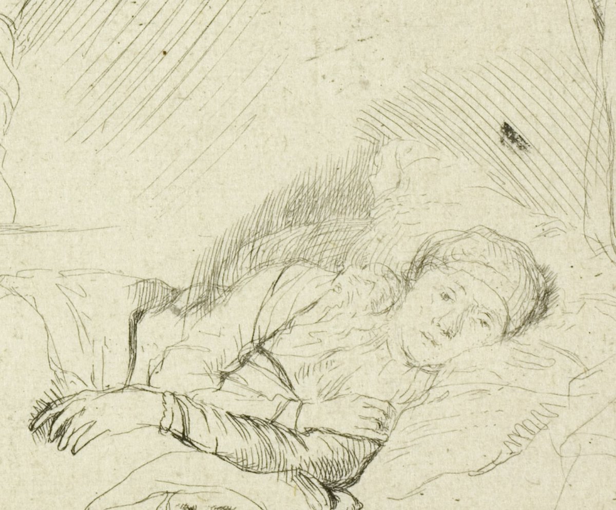 The Pulter Project tweet media