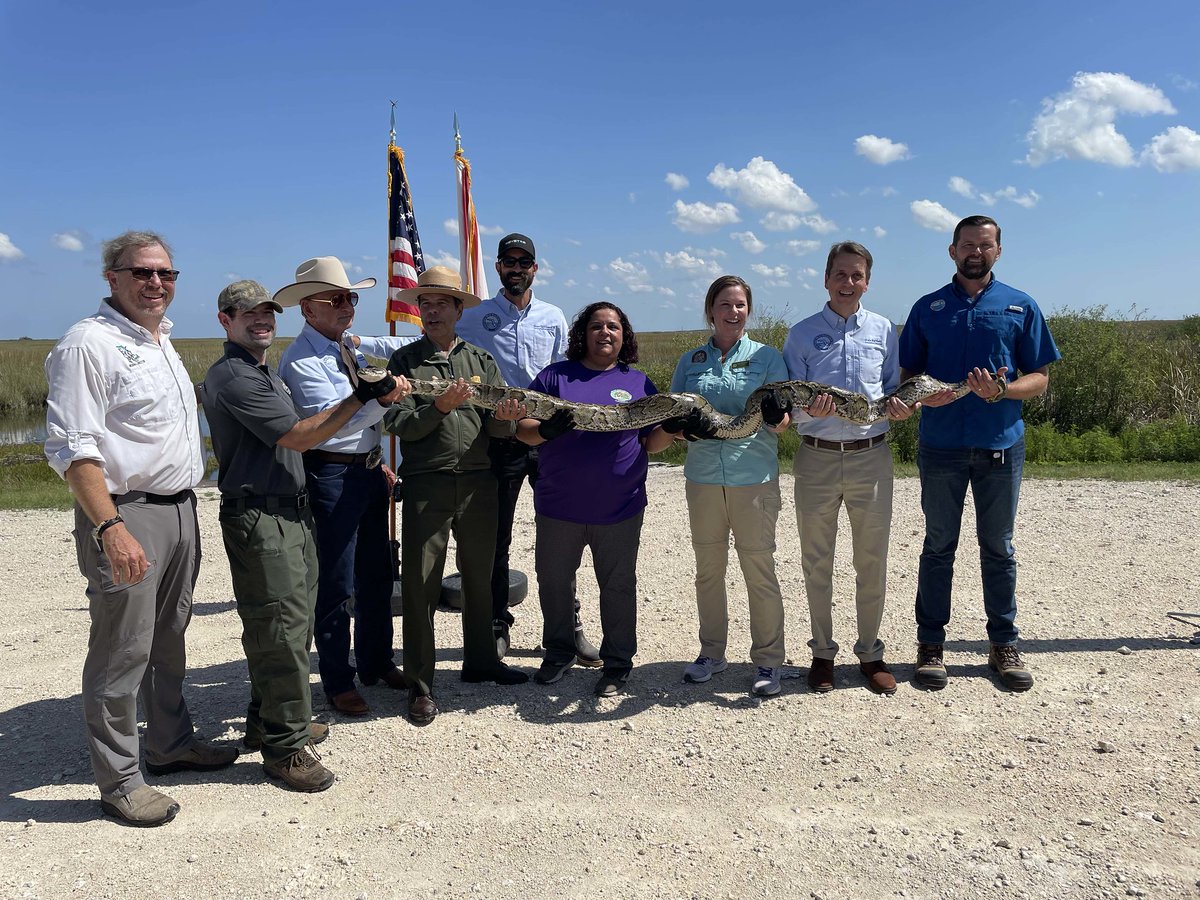 MyFWC's tweet image. Big news: big #pythons, big prizes, big #conservation! The Florida Python Challenge™ is back for 2025, running July 11-20. Learn more and register: flpythonchallenge.org #Everglades