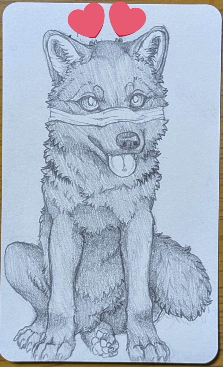 lupus🐾(低浮上) tweet media