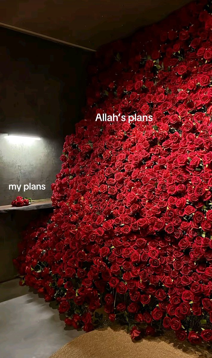 sinem (@kimbusnem) on Twitter photo 