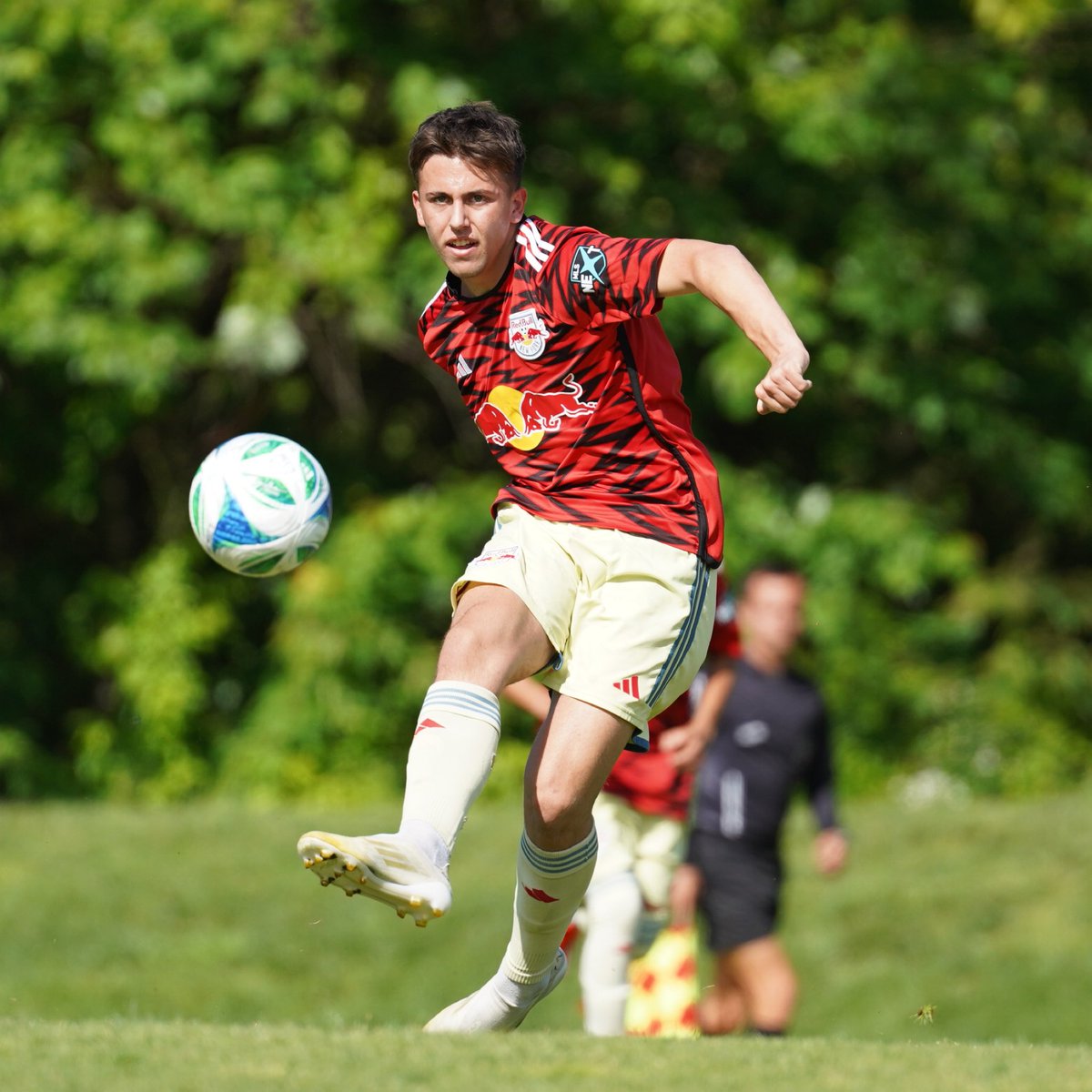 Red Bulls Academy tweet media