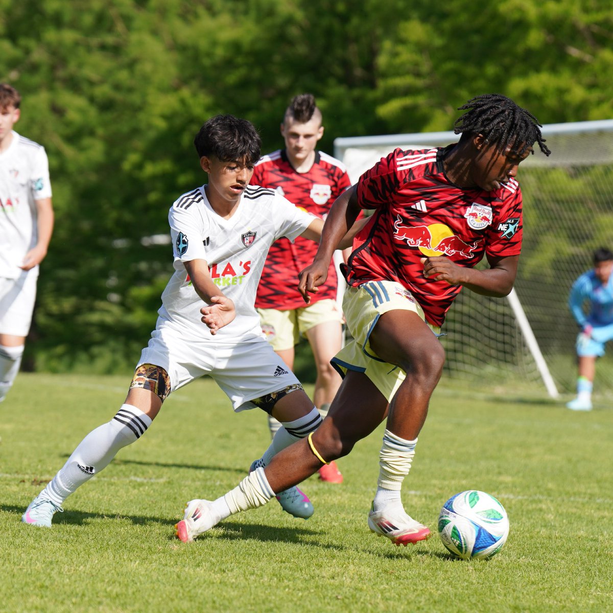 Red Bulls Academy tweet media