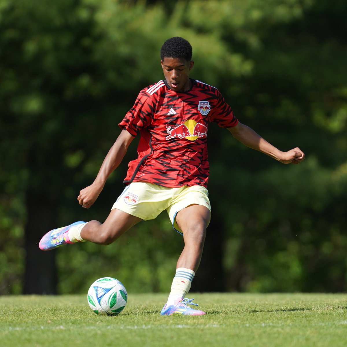 Red Bulls Academy tweet media