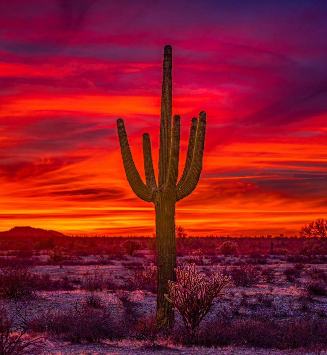 Stillness in the heat

Credit: nealsummerton