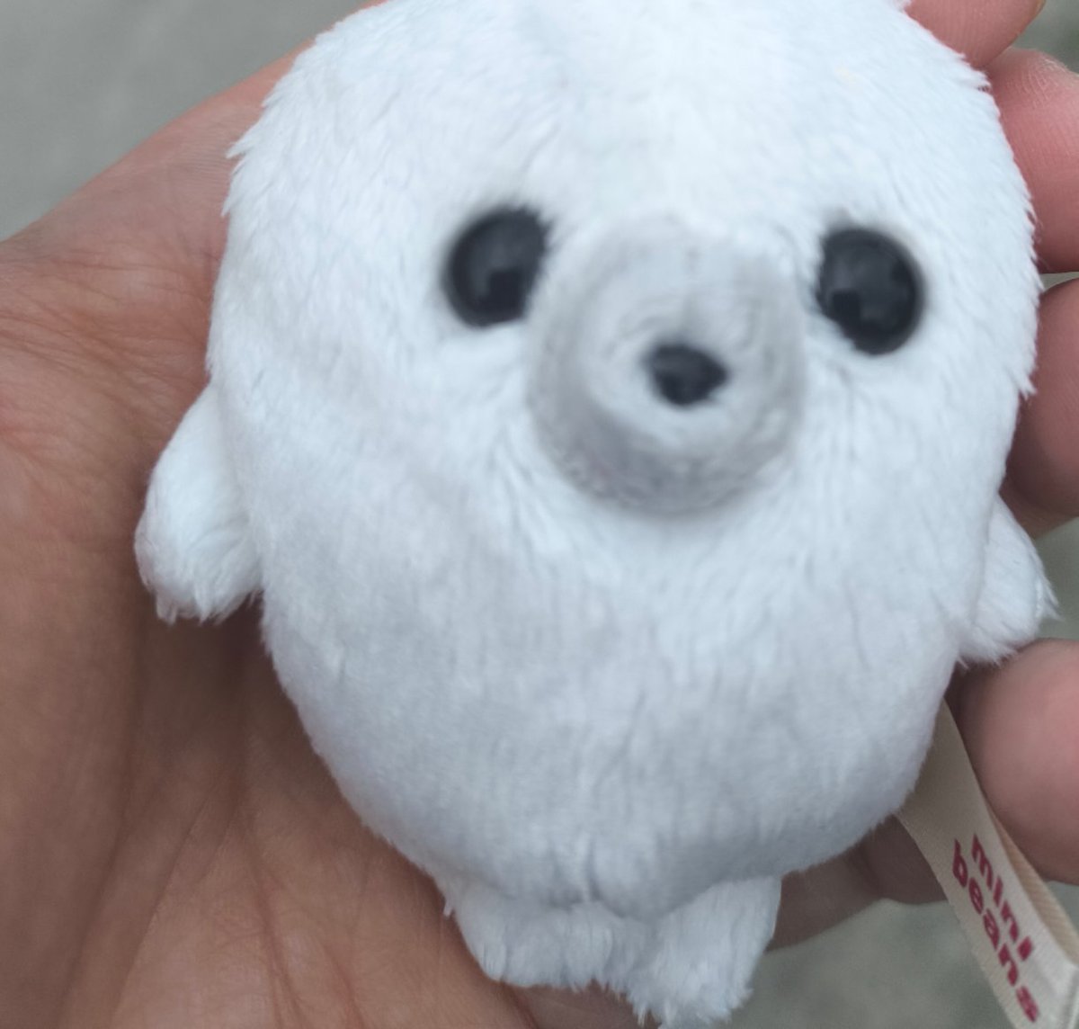 The seals have arrived!!