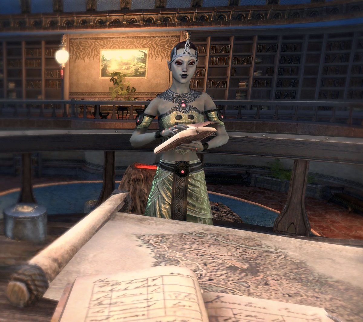 Savage_Nirnroot's tweet image. Selyla's happy place 📚

#ESO @TESOnline @ElderScrolls #Selyla #Dunmer #DarkElf #Arcanist #Vvardenfell #LibraryOfVivec