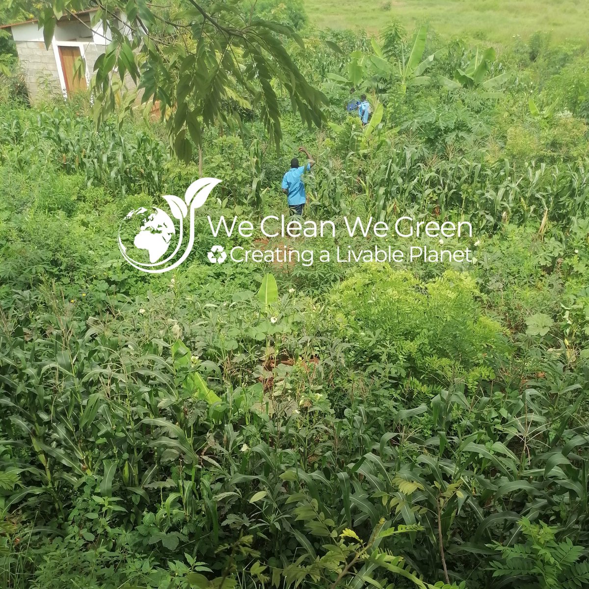 We Clean We Green - Malawi 🇲🇼 tweet media