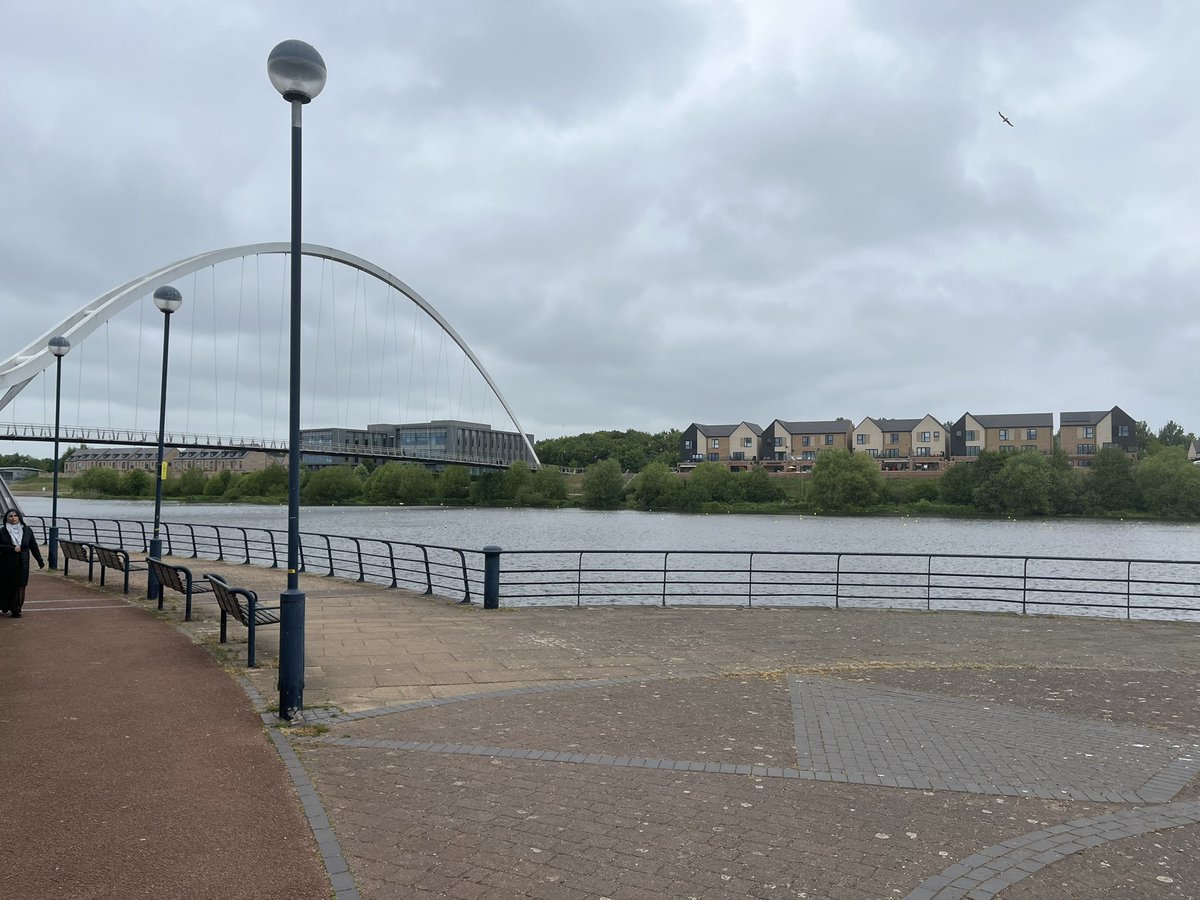 Michael Wood tweet media