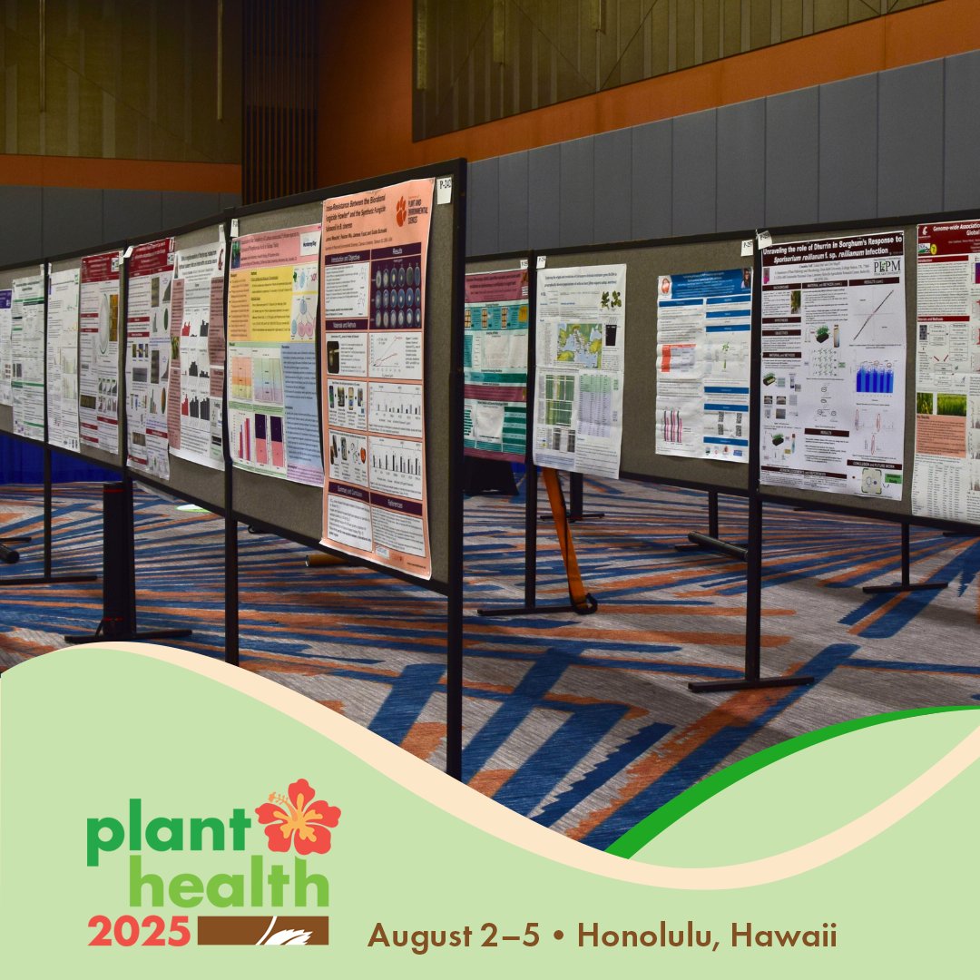 Late-breaking poster submissions are open through June 6! Presenting a poster at #PlantHealth2025 is a great way to gain recognition, spark collaboration, and advance your research

Submit today: bit.ly/4jSaWNr

#PosterSession #ScientificResearch #PlantHealth