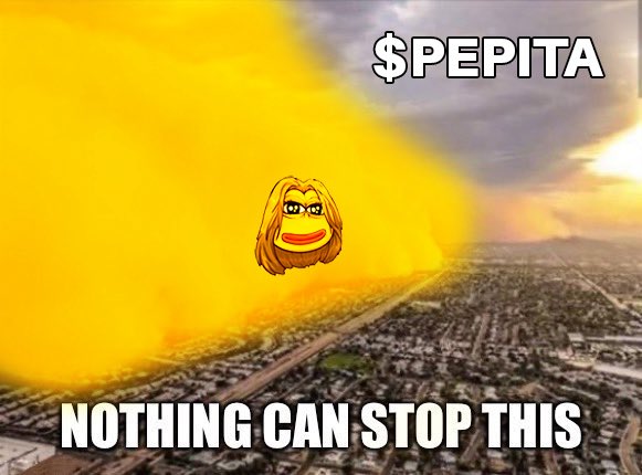 PepitaToken's tweet photo. $PEPITA EVOLUTION! https://t.co/BTKn82hH6B