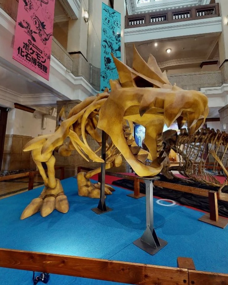 A Pokémon fossil exhibition is coming to Chicago's Field Museum in May 2026

This marks the first time the exhibition will travel outside of Japan