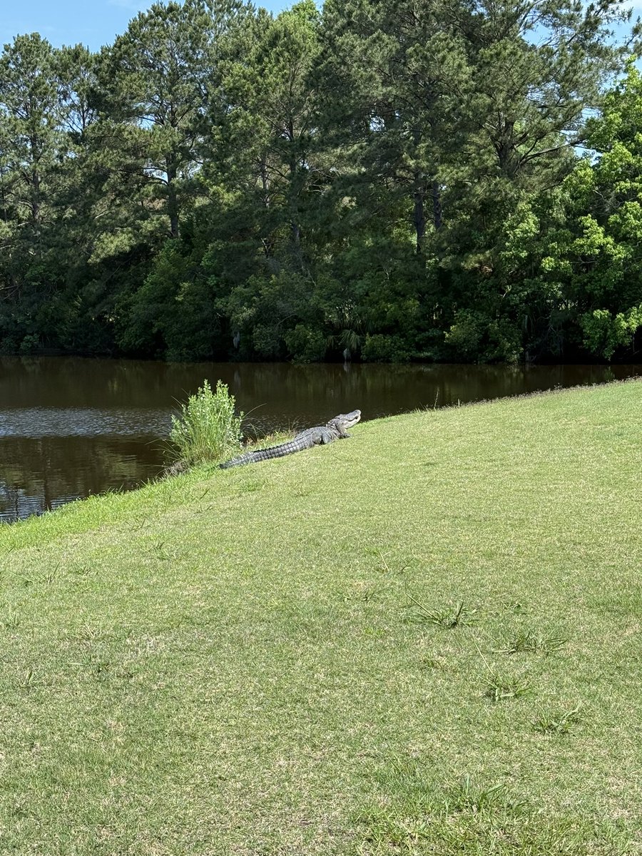 reeebert's tweet image. Member-Guest Day 1!!!!! Let’s Gooooooo