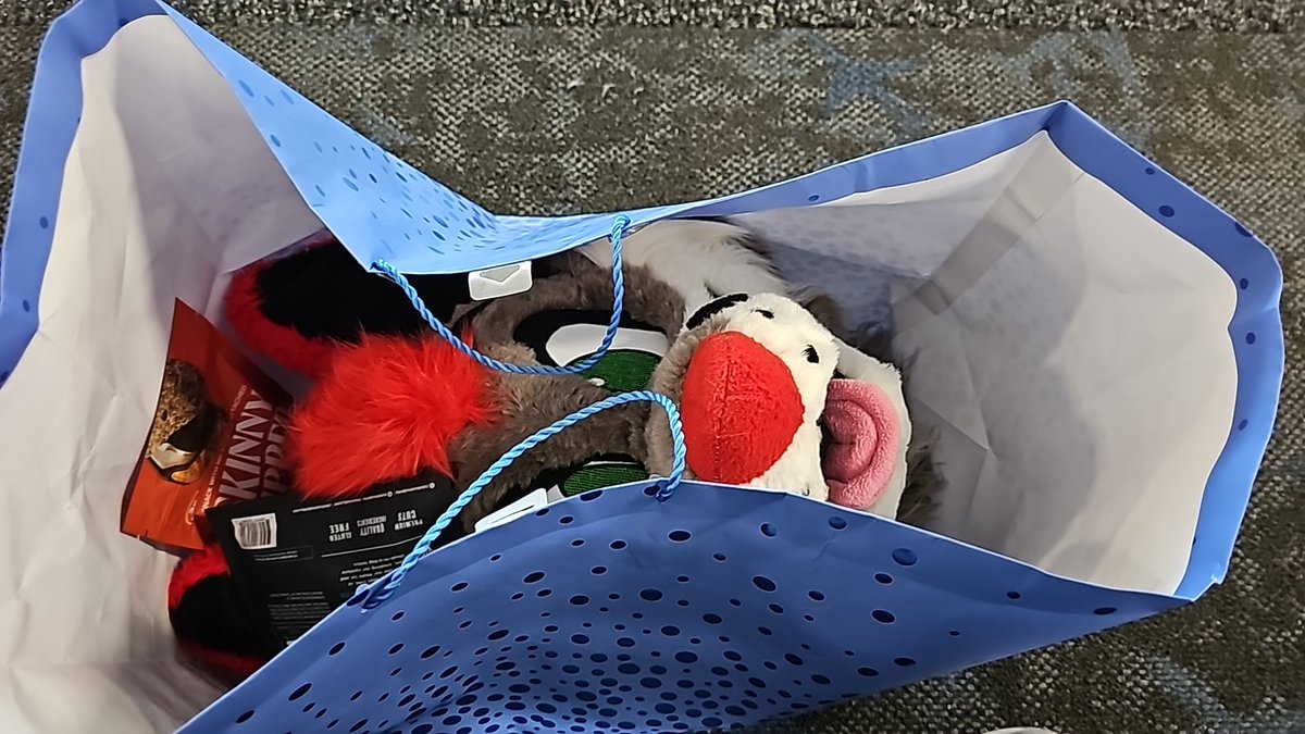 He peek!  👀 

Off to Calfurry!  🍁 🇨🇦 

#furryfandom #furries #fursuits #fursuiters #llmcostumes