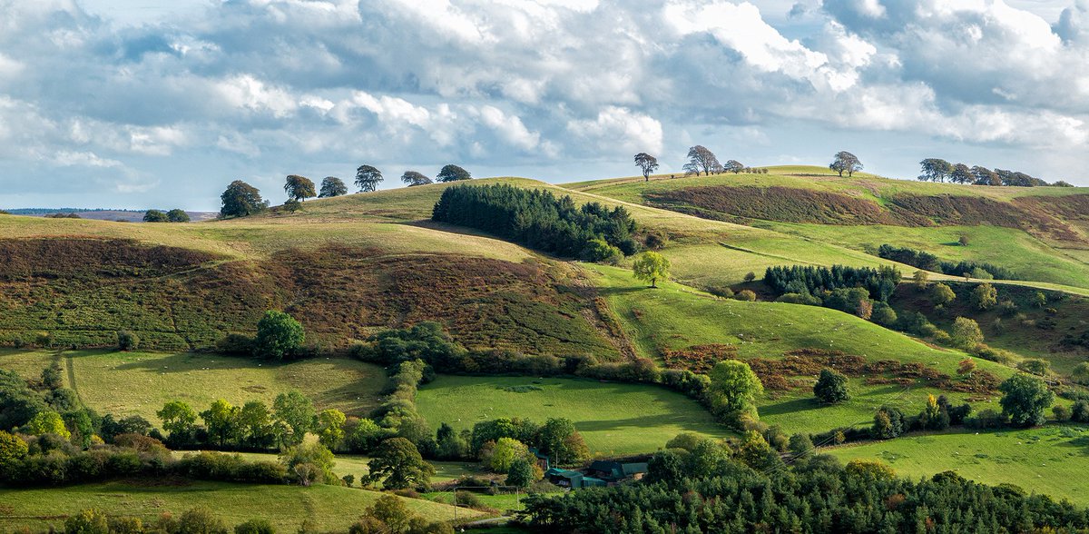 #136 Linley Hill Panorama, 16/10/2022

Linley Hill is one of my favourite South Shropshire hills, after the steepish climb up through the famous beeches you are rewarded with a long ridge walk with fabulous views over the Shropshire hills.  #photography #shropshire