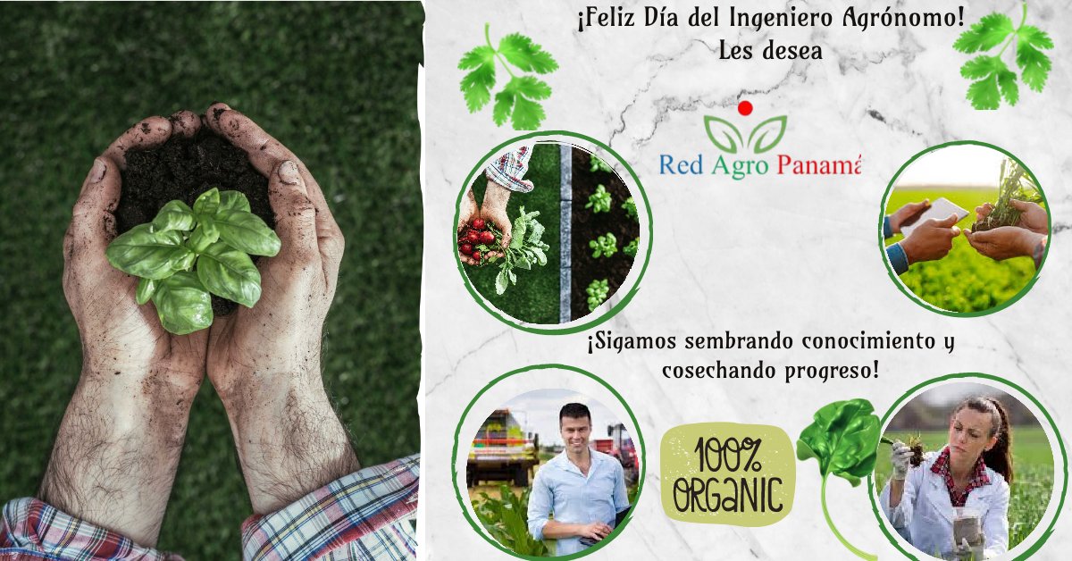 ¡Feliz Día del Ingeniero Agrónomo! Hoy celebramos a quienes con su conocimiento, dedicación y amor por la tierra, transforman el campo en un espacio de vida, progreso y sostenibilidad. ¡Sigamos sembrando conocimiento y cosechando progreso!