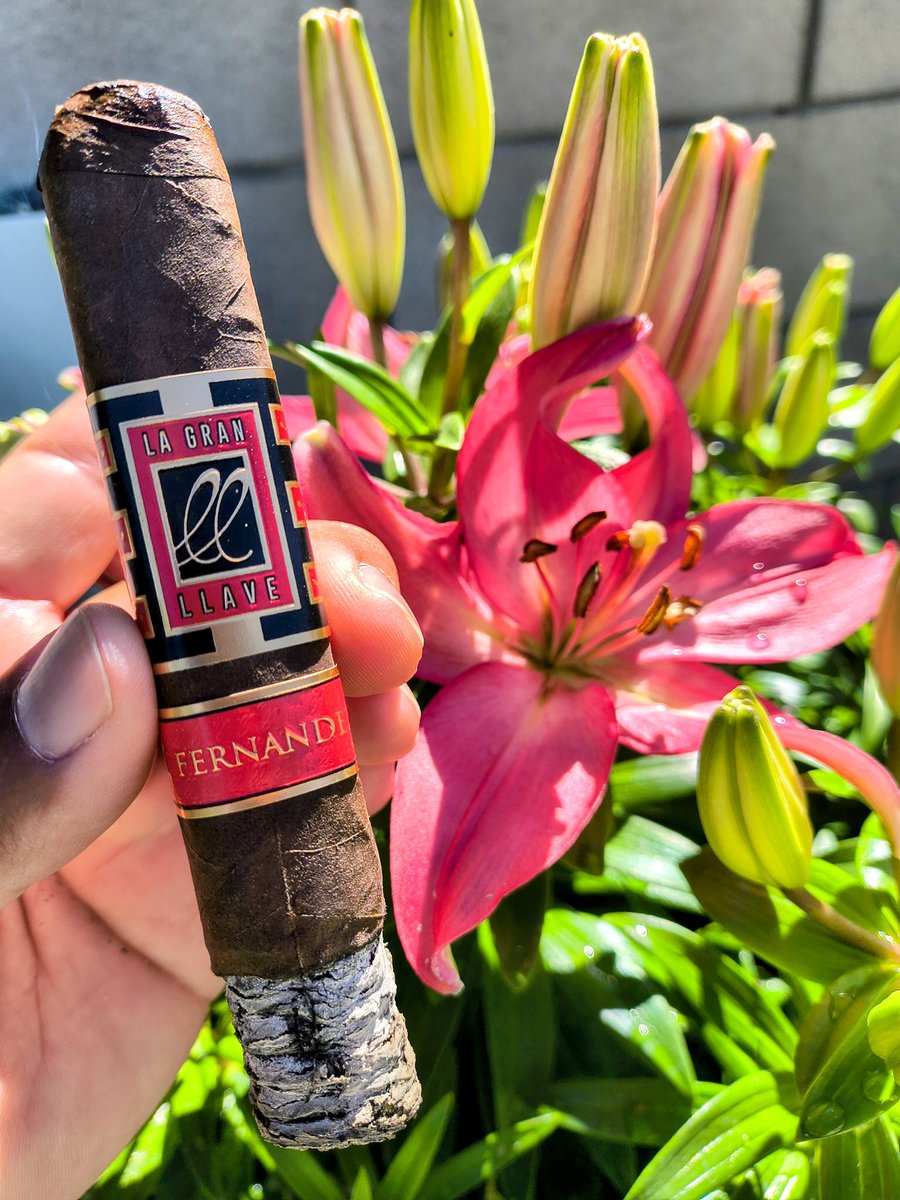 PuffSmokeNAsh's tweet photo. Perfect cigar on a perfect day 💯 🎯 This aged @AJFcigars with #YellowCello is top notch 😍 😍😍😍😍😍😍 Chillin in the #BackyardLounge as usual 💯 💥💪👀 🔥💨💨💨💨💨💨💨💨💨💨💨💨💨💨💨💨💨💨💨💨💨💨💨💨💨💨💨💨💨💨💨💨💨💨💨💨💨💨💨💨💥🧨 https://t.co/TLa6gjLPZb