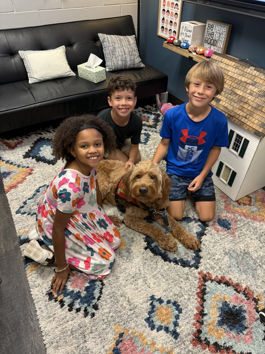 George the Comfort Dog tweet media