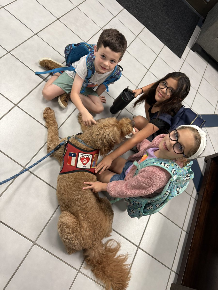 George the Comfort Dog tweet media