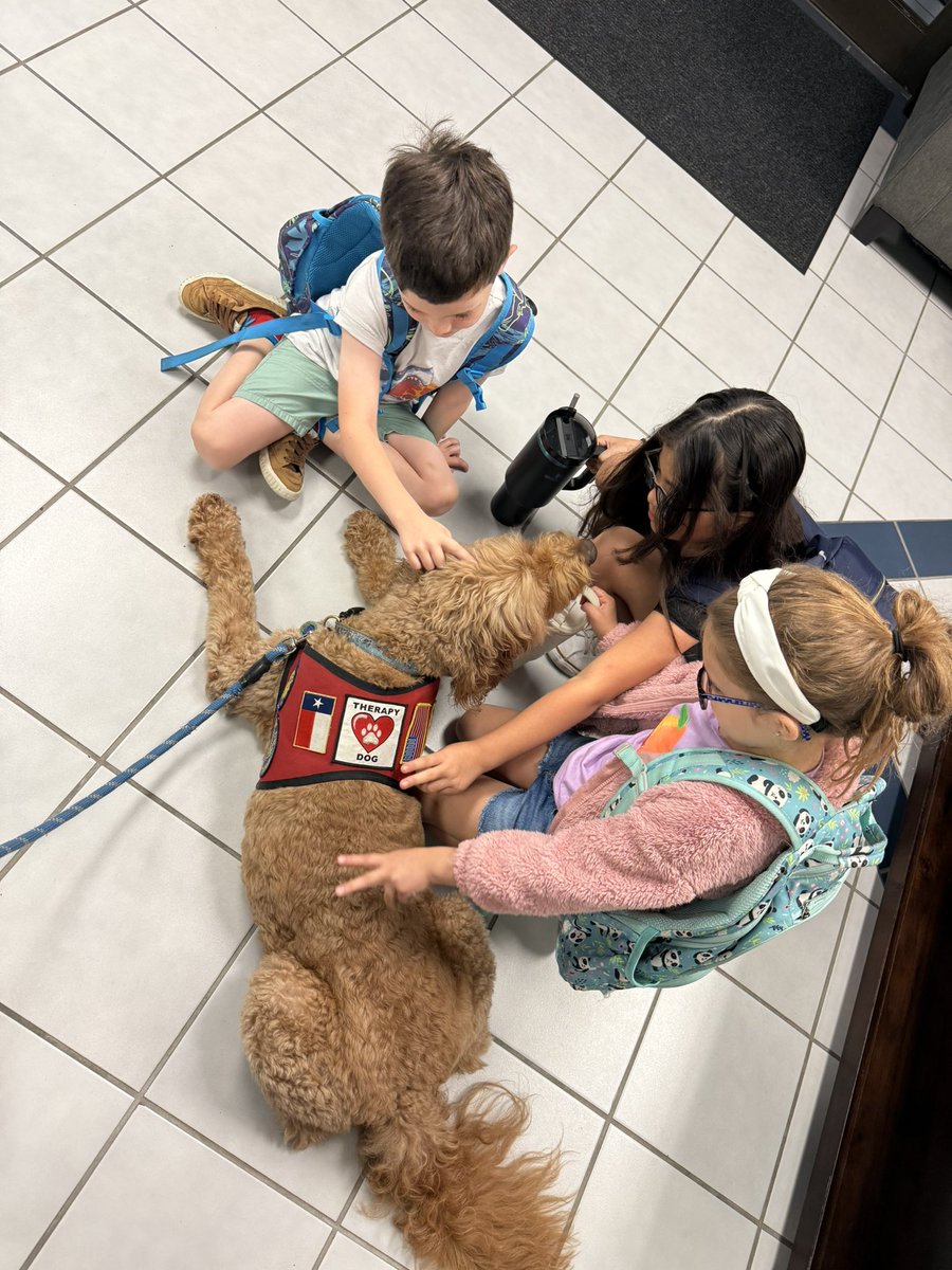 George the Comfort Dog tweet media