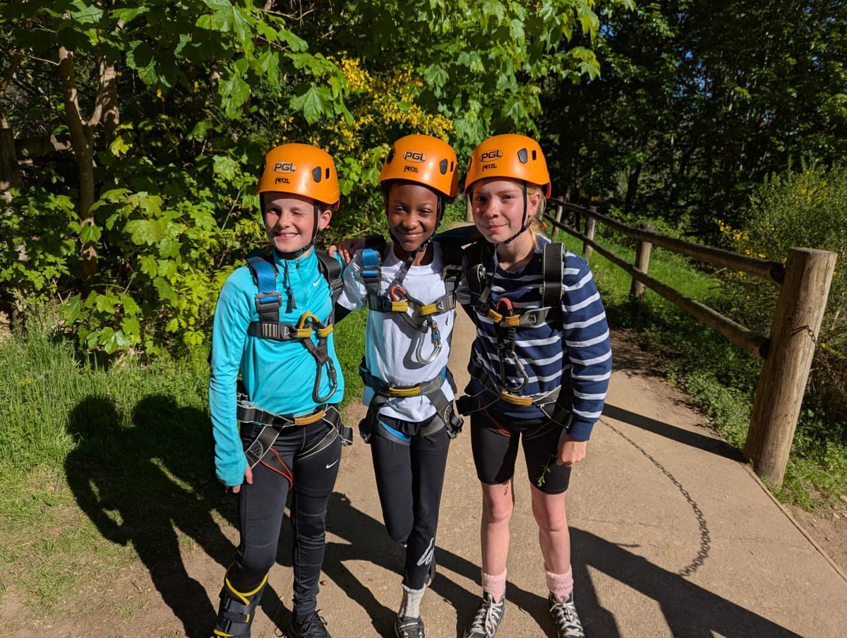 Simpson Primary tweet media