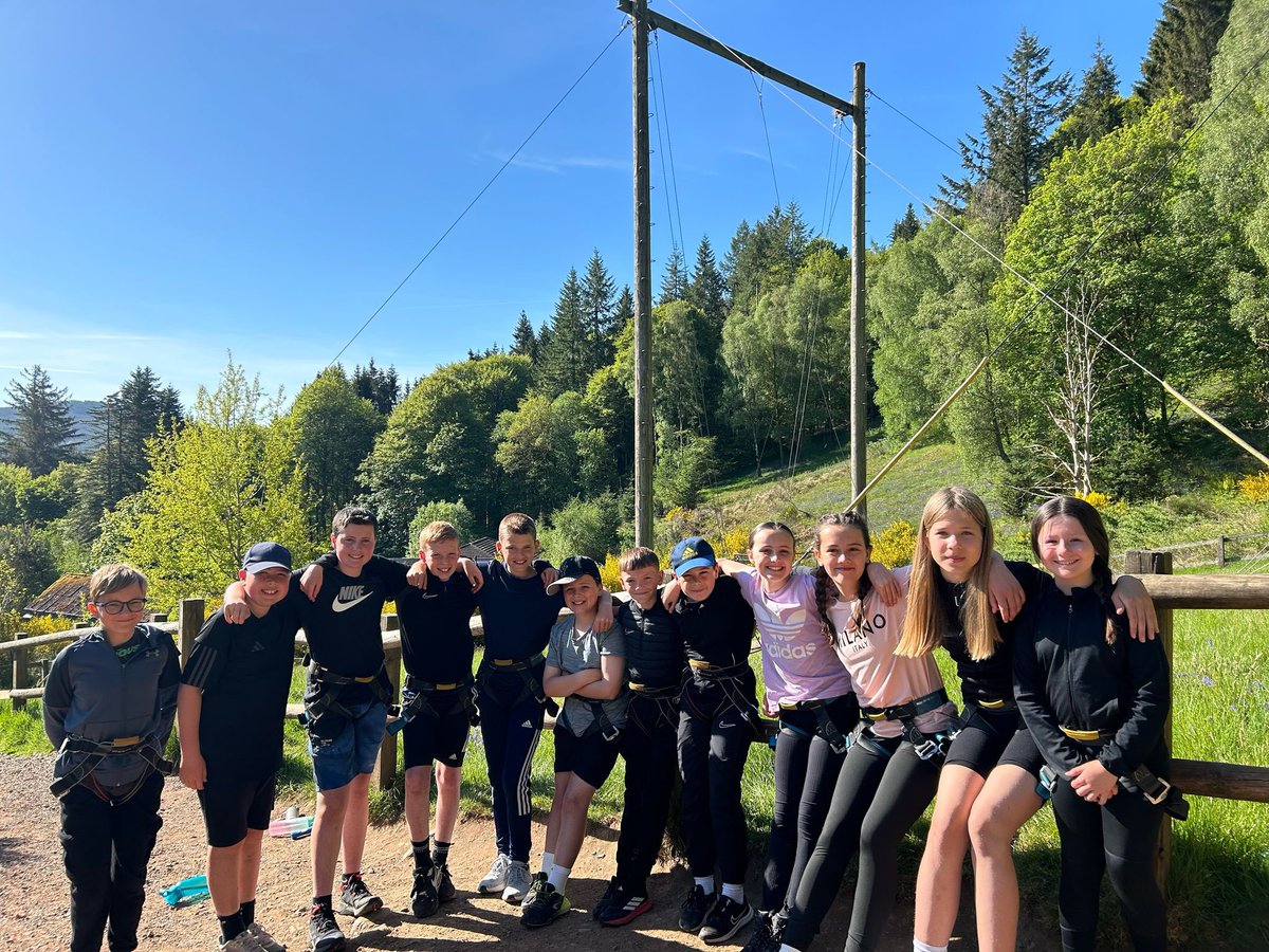 Simpson Primary tweet media