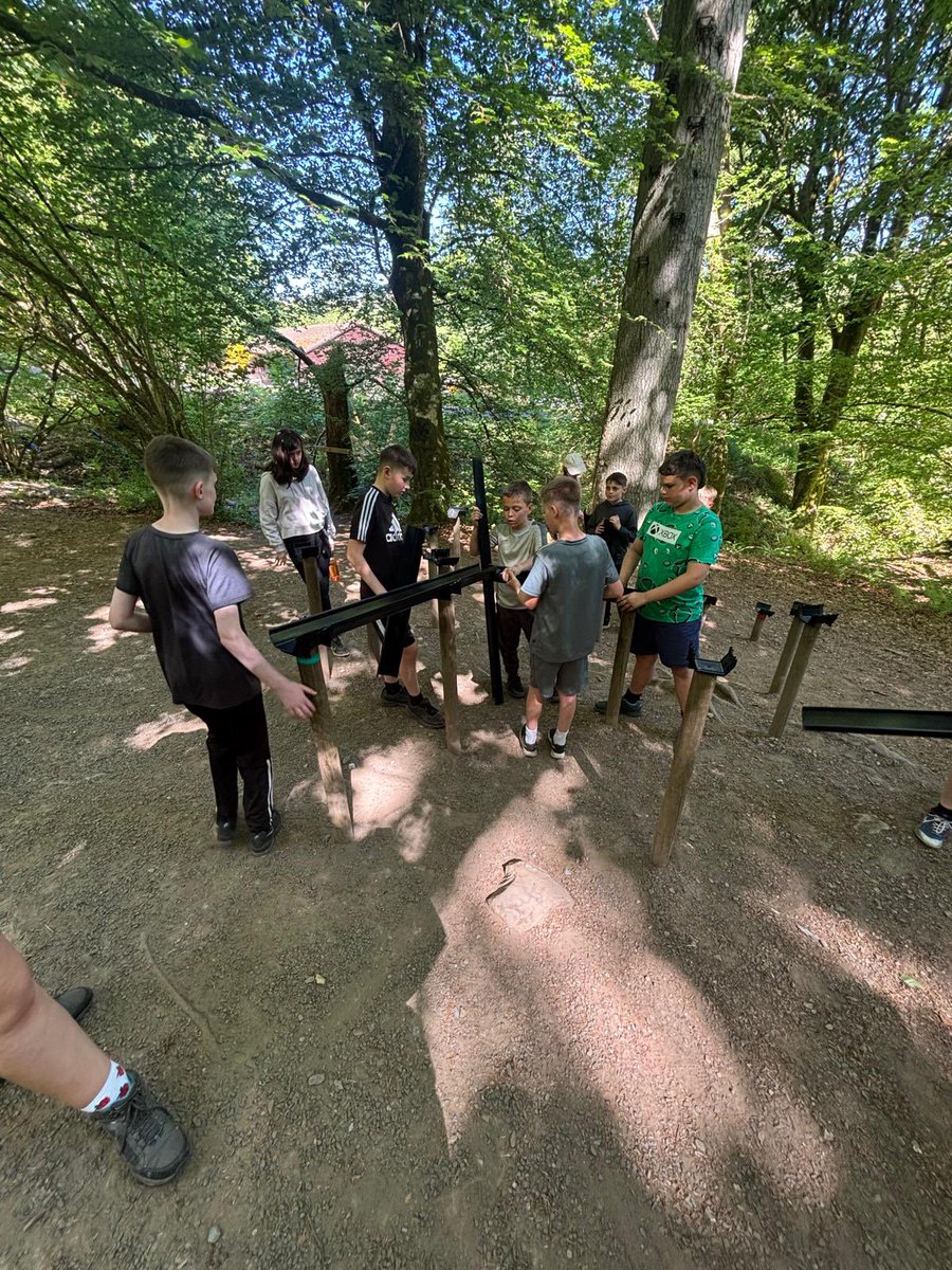 Simpson Primary tweet media