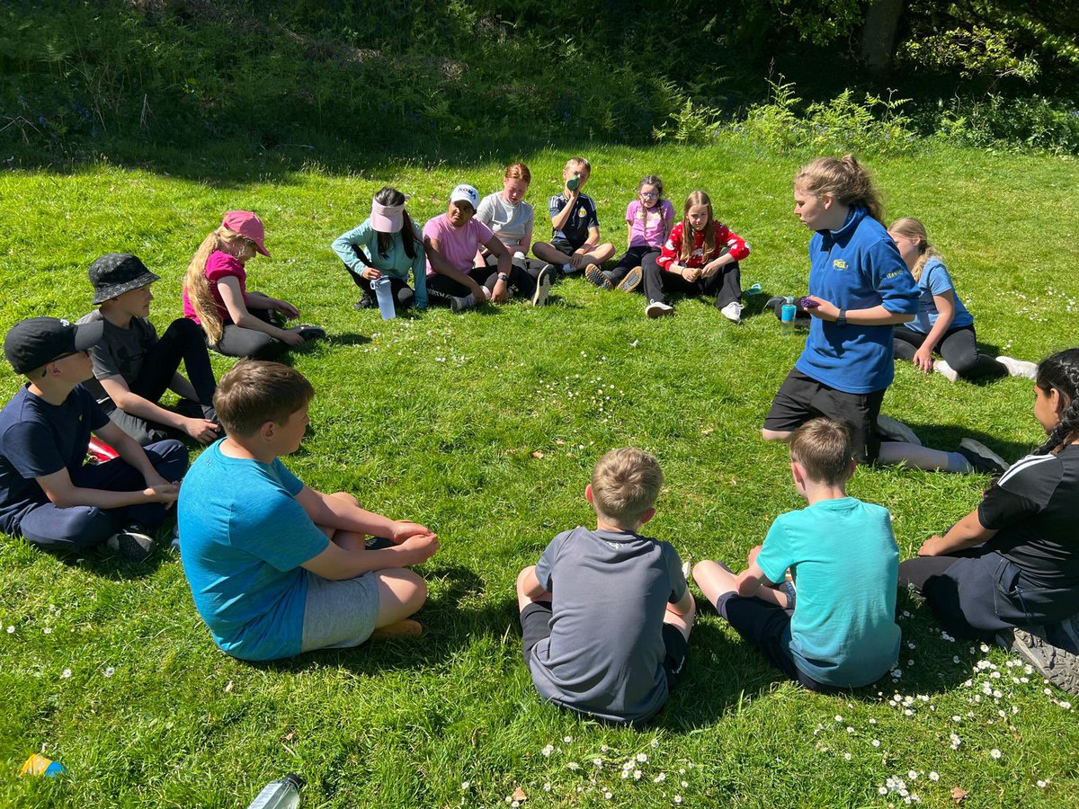 Simpson Primary tweet media