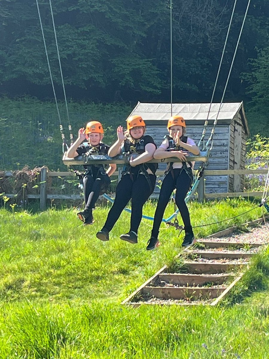 Simpson Primary tweet media